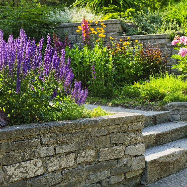 Landscaping in Pueblo, CO Landscaping in Pueblo, CO