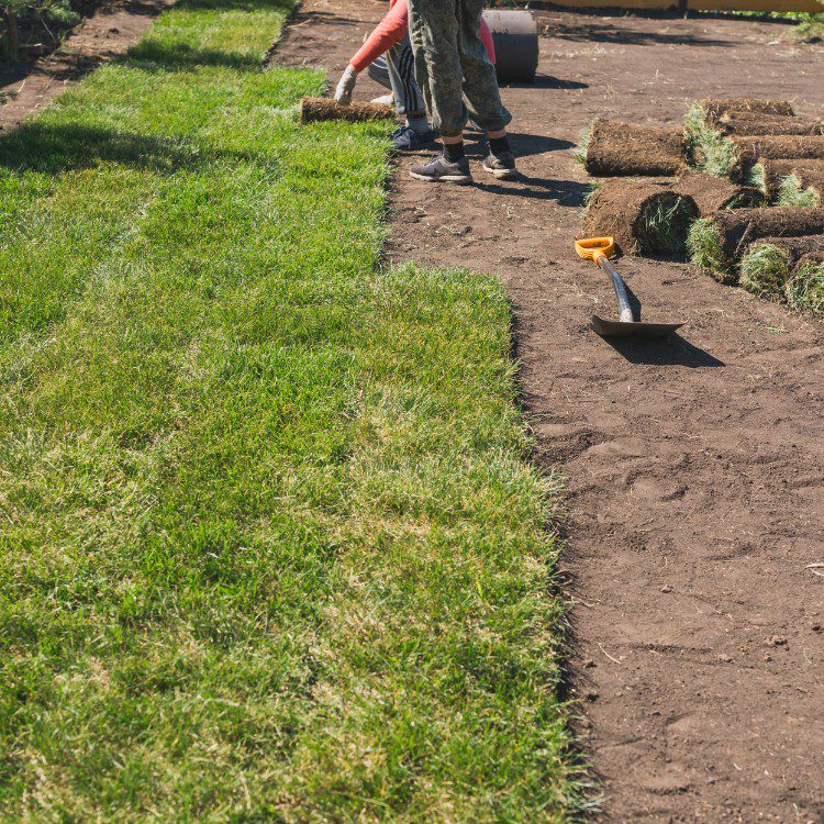 Landscaping in Pueblo, CO