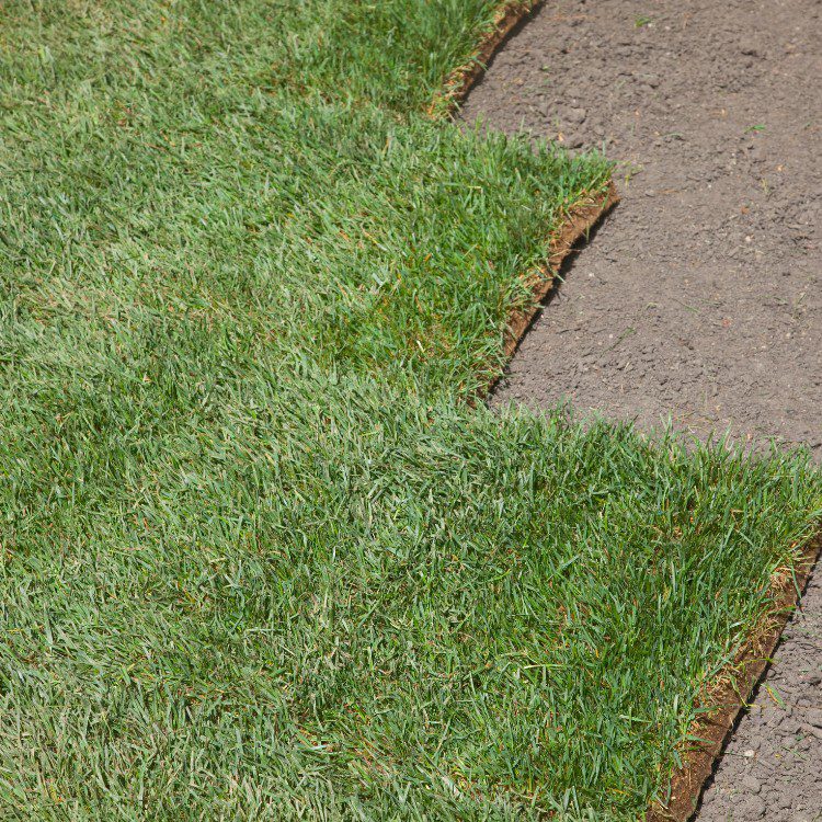 Landscaping in Pueblo, CO