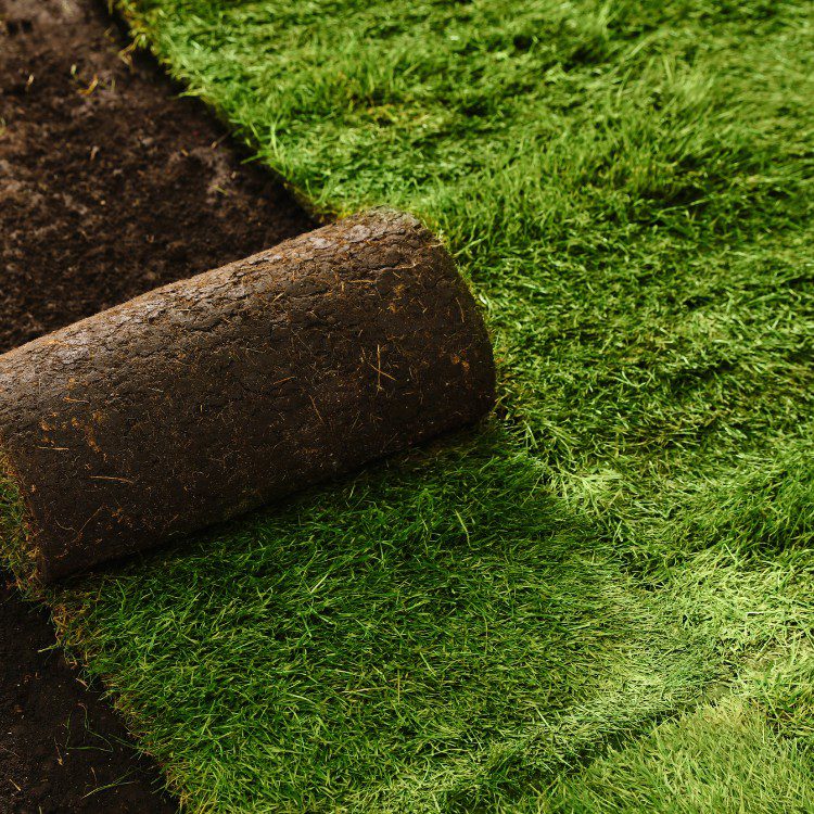 Landscaping in Pueblo, CO Landscaping in Pueblo, CO