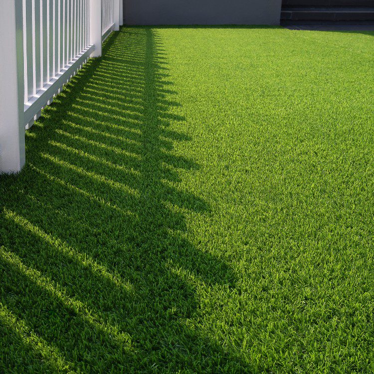 Landscaping in Pueblo, CO Landscaping in Pueblo, CO